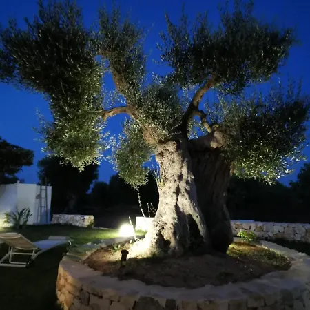Casa Aranceto